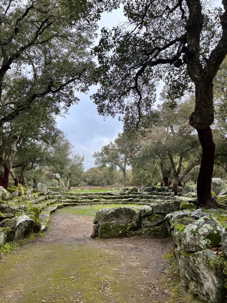Romanzesu, Il Villaggio Santuario Nuragico Olbia Romanzesu Anfiteatro