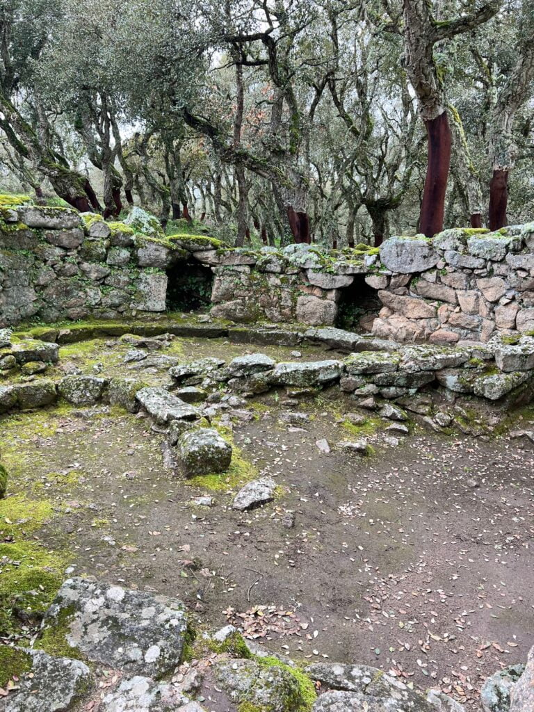 Romanzesu, Il Villaggio Santuario Nuragico Olbia Romanzesu Capanna Con Muri Divisori Interni