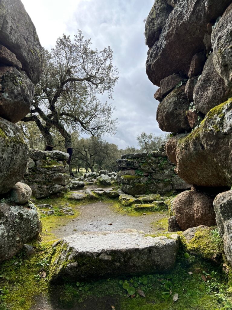 Romanzesu, Il Villaggio Santuario Nuragico Olbia Romanzesu Interno Tempio Megaron