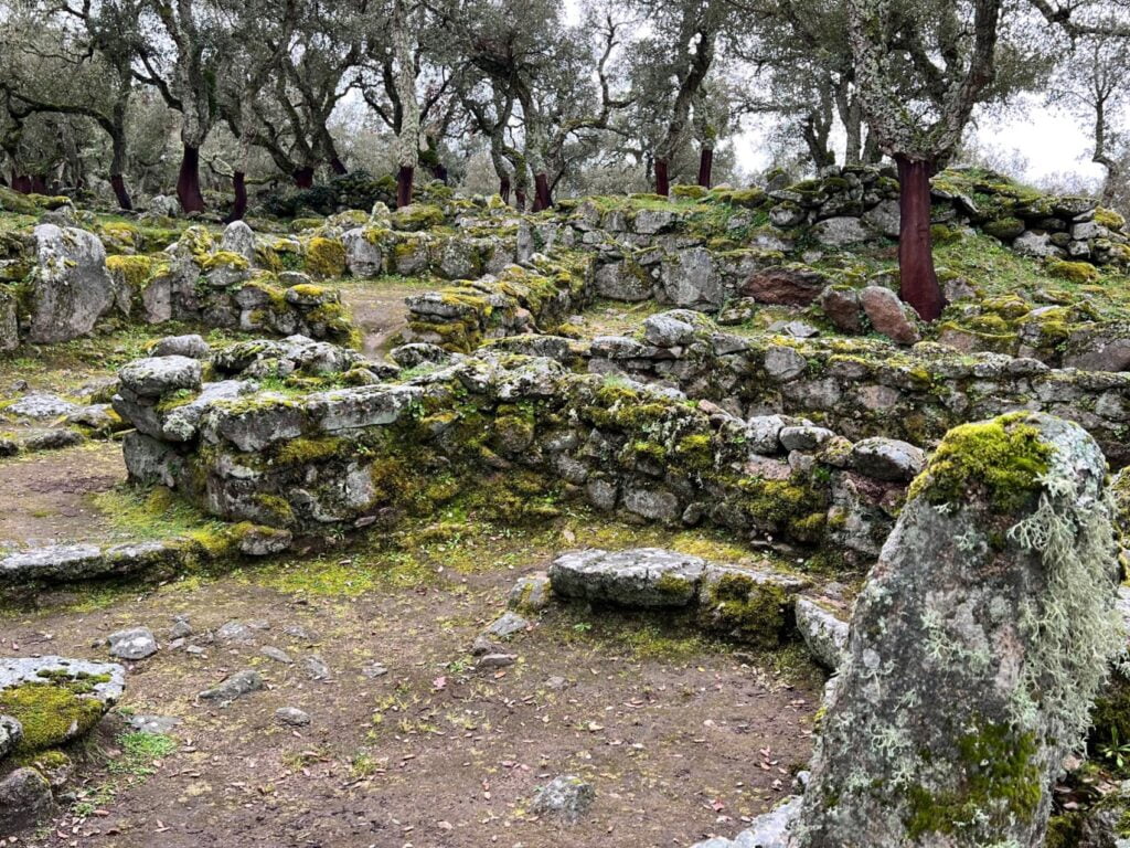 Romanzesu, Il Villaggio Santuario Nuragico Olbia Romanzesu Sito Archeologico Nuragico Capanne