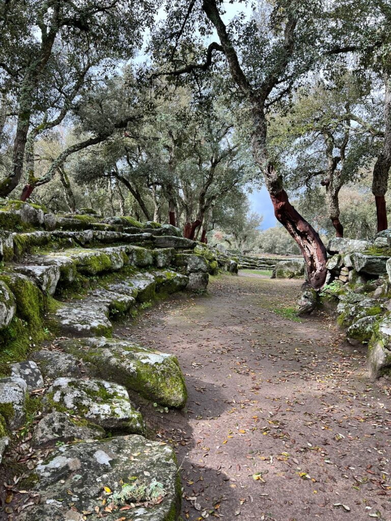 Romanzesu, Il Villaggio Santuario Nuragico Olbia Romanzesu Via Pozzo Anfiteatro