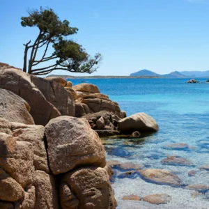 Le spiagge Olbia Le spiagge Olbia